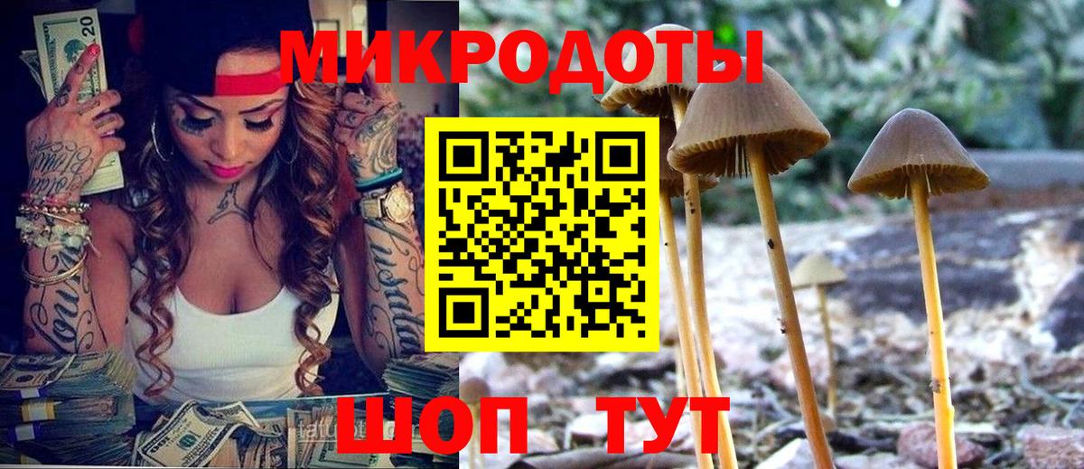Псилоцибиновые грибы Cubensis Холмск