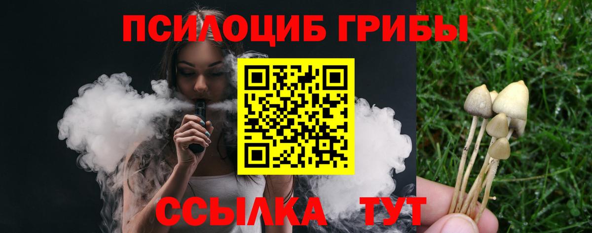 Холмск  Галлюциногенные грибы мухоморы  Вход с VPN 